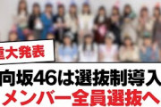 日向坂46は選抜制導入かメンバー全員選抜へ【日向坂・日向坂で会いましょう】