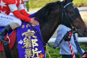 5/7（土）第70回 京都新聞杯（GII）