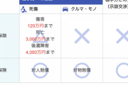【悲報】ワイ、自動車保険加入先選びでが難しすぎて咽び泣く
