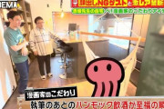 【画像】推しの子の赤坂先生の1億円御殿がヤバすぎるｗｗｗｗｗｗ