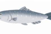 【速報】安いから『魚のニシン』買って食べた結果www
