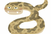 【悲報】蛇、2歳女児に咬まれ死亡