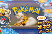 ポケモンセンターが沖縄にオープン！マスコットはウインディに決定