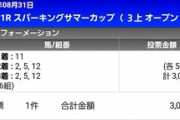 8/31(火) 川崎11R 第18回 スパーキングサマーC(SⅢ) 発走20:10