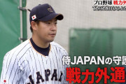 プロ野球戦力外通告見たけど年々残念になってるよな？