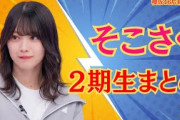 そこさく2期生まとめ（その１）#櫻坂46