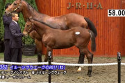 【競馬/セレクトS】5億越えディープ牡馬はアドマイヤこと近藤利一氏ｗｗｗｗ
