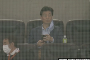 西村経済再生担当大臣、試合の視察に来るwwwww