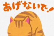 【えぇ…】アクア民さん「うちは金魚死んだら公園の猫に与えてるわ。命を粗末にしないしおすすめ」