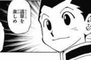 【疑問】HUNTER×HUNTER←こいつの再開を待つ理由ｗｗｗｗｗ
