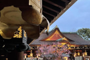 京都観光曇天模様　後半