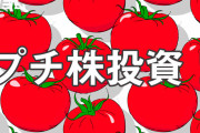 【悲報】ポケカ投資や仮想通貨が流行ったのに株が流行らない理由、「単元」とかいうゴミのせいだった‥‥