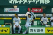 【悲報】プロ野球開幕に火種。「ベンチが3密」