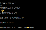 【YouTuber】東海オンエアしばゆーの夫婦ゲンカの影響で峯岸みなみに暴言、夫・てつやもリベンジポルノ被害に　ユニット継続の危機か