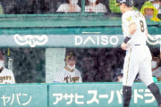阪神　満塁で佐藤輝明が走者一掃の三塁打　７―０のリードで降雨中断