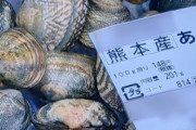 熊本のアサリ業者「表記を『中国産』に変更させられ、注文がぱたりと止まった。味や品質は変わらないのに…死活問題だ」