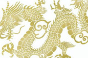【悲報】西洋の竜を“Dragon”東洋の龍を“Dloong”で区別する動きが生まれるｗｗｗｗｗｗｗｗｗｗｗｗｗｗｗｗ