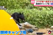 薬師峠キャンプ場のテント脇でクマが食料あさり…現場は緊張感に包まれ　富山・北アルプス