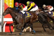 日本ダービー3着馬コズミックフォースが東京大賞典の前哨戦となる重賞の勝島王冠を制覇