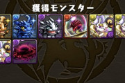 【パズドラ】どう頑張ってもラフィーネで零クリア出来ないからアドバイスしやがれ