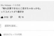【悲報】YouTubeキッズさん、めっちゃ寒いコメントを「2chみたい」とバカにしてしまうｗｗｗｗ