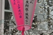 目黒川桜まつり【頑張れ羽生結弦に限界なし】