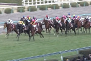 史上4組目の父系4代JRA・GI制覇なるか ビッグアーサー産駒の2頭が高松宮記念参戦