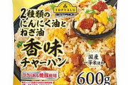 イオンPBの冷凍チャーハンに異物混入！約3万個を自主回収へ