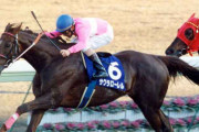 サクラローレル死す 29歳牡馬 1996年天皇賞・春と有馬記念制す