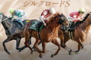 第30回 シルクロードステークス(GⅢ).第39回 根岸ステークス(GⅢ)