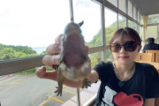平井美葉さんと島倉りかさんの伊豆旅行の時の画像がなぜかこのタイミングで投稿される！！