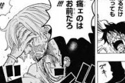 【ONE PIECE】の新世界さん、名シーンが少なすぎる・・・・・・・・・・・・・・・・・・