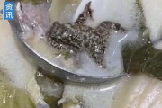 【画像】レストランであっつあつの鍋にカエルが混入してしまう、、もうこれ半分かくし味だろ！ｗｗｗｗｗｗｗｗｗｗ