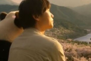 中国人「日本で見たこの組み合わせが本当に美しすぎた」　中国人「鳥居をくぐればそこは神の領域」「とても癒された」