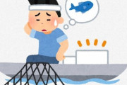 【静岡】サクラエビ漁「乗り子」大量退職へ　船主「漁存続の危機」