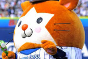 【悲報】横浜DeNAベイスターズさんセリーグで唯一機関紙がない