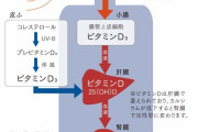 【朗報】コロナ感染者にビタミンDのサプリメントを飲ませた結果→死亡者数８２％減少