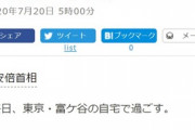 【悲報】安倍晋三さん、子供部屋おじさんになってしまう