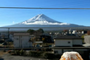 外国人「富士山を見ながら最高に美しい朝食を食べてしまった」