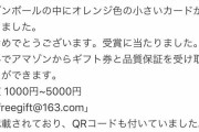 【悲報】Amazonで買い物したら箱の中に謎のQRコードが！？この正体は一体……