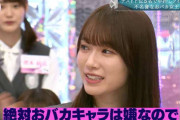 綺麗で可愛い櫻坂46守屋麗奈、おバカちゃんだった【そこ曲がったら、櫻坂？】