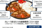 カレーライス物価指数、1食371円　7カ月連続で最高値　コメ価格高騰の影響大、今後さらに値上がり予想