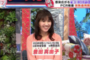 豊田真由子さん、可愛くなって再登場