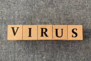日本人「『virus』の読み方は…ウイルスでええか！」