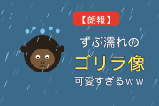 【朗報】韓国人「日本の台風でずぶ濡れになったゴリラ像、いろんな意味で可愛すぎるｗｗ」