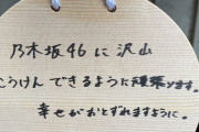 【悲報】乃木坂46の成人式絵馬「乃木坂46に沢山こうけんできるようにがんばります」 （※画像あり）