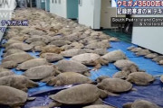 テキサス「大寒波！（死者20人以上」米国「電力網が全米で唯一独立！」テキサス「風車が動かず輪番停電！（電気代20倍」中国「寒波は人権問題！（謎理論」米国「は？（憤怒」→