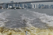 【悲報】東京湾のお台場付近、ガンジス川の35倍の大腸菌が確認される…