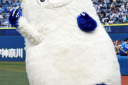 プロ野球12球団で正直一番キモいと思ったマスコット