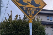 韓国人「日本の猫注意看板が話題に！ネコの標識がかわいすぎると韓国のSNSで注目集まる」